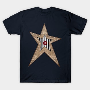 Prim Style Burlap and Ticking Star T-Shirt